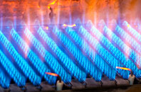 Daneway gas fired boilers